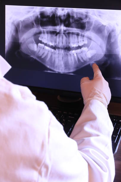 Best Emergency X-Rays and Diagnostics in Nokesville, VA